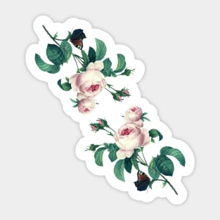 Vintage Roses and Butterflies Sticker